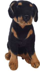 Black dog sale soft toy