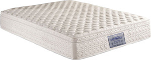 Dreamzee Orthocare Memory Foam Eurotop 5 inch Single High Resilience (HR) Foam Mattress