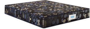 Hypnos Bonnell Normal Top 6 inch Queen Spring Mattress