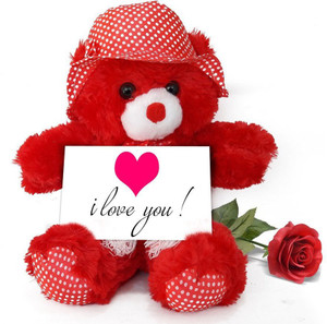 teddy bear for girlfriend birthday