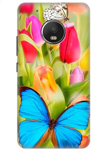 7C Back Cover for Motorola Moto G5 Plus