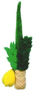 Zion Judaica Ltd Plush Lulav & Etrog Childrens Set - 2.4 inch