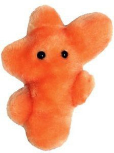 Giant Microbes Athlete'S Foot (Trichophyton Mentagrophytes) Petri Dish - 1.9 inch