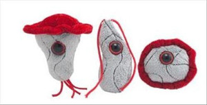 GIANT Microbes Brain Eating Amoebas 3 Mini Microbes Petri Dish - 1.5 inch