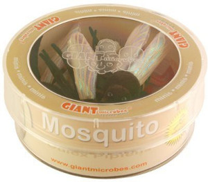 Giant Microbes Giantmicrobes Mosquito (Culex Pipiens) Petri Dish Toy - 1.9 inch