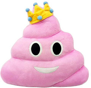 Poop 2025 unicorn pillow