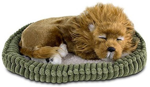 Perfect Petzzz Lion Soft Toy - 10 inch