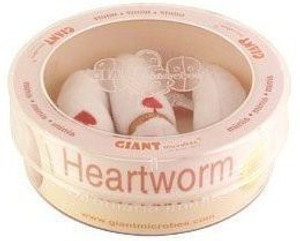 GIANT Microbes Heartworm Dirofilaria Immitis Petri Dish - 1.9 inch