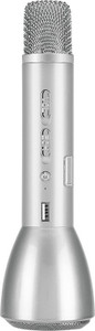 MEZIRE MAGIC KARAOKE SILVER-4 Microphone
