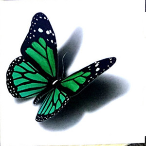 View Small 3D Butterfly Tattoo On Hand PNG