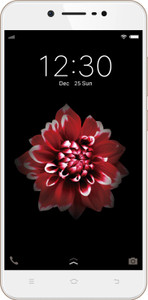 Vivo Y66 (Crown Gold, 32 GB)