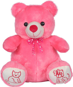 dark pink teddy bear