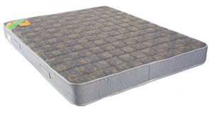 Centuary Mattresses Xbounce 6 inch Queen PU Foam Mattress