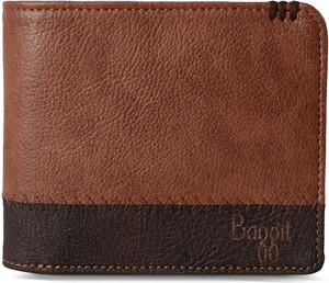 Baggit mens wallet flipkart cheap
