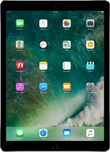 Apple iPad Pro 256 GB 12.9 inch with Wi-Fi Only (Space Grey)