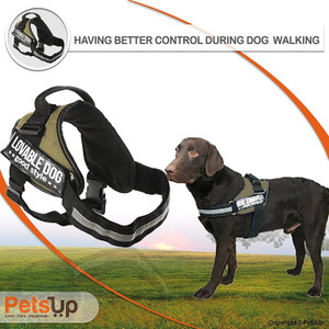iriscargo dog harness