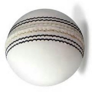 MDN INTERNATIONAL 20-20 MACTH Cricket Ball -   Size: 5