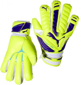 PUMA evoPOWER SUPER ( 10 ) Football Gloves (L, Multicolor)