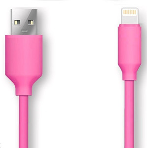 Raydenhy 2.4 A Fast Quick Charging & Data Sync Lightning Cable