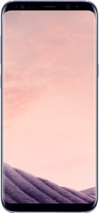 Samsung Galaxy S8 Plus (Orchid Grey, 64 GB)