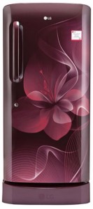 LG 215 L Direct Cool Single Door 4 Star (2019) Refrigerator with Base Drawer(Scarlet Dazzle, GL-D221ASDX)