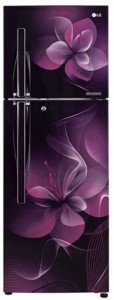 LG 255 L Frost Free Double Door 4 Star (2019) Refrigerator(Purple Dazzle, GL-F282RPDX)