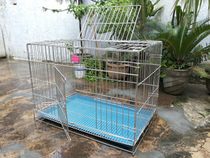 Parrot store pinjra online