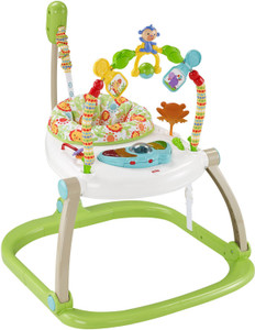 Fisher price jumperoo bouncer deals