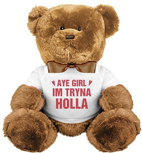 Customized Girl Tryna Holla Funny Valentines Day Plush 8 inch Tryna Holla Funny Valentines Day Plush Buy Teddy Bear toys in India. shop for Customized Girl products in India. Flipkart