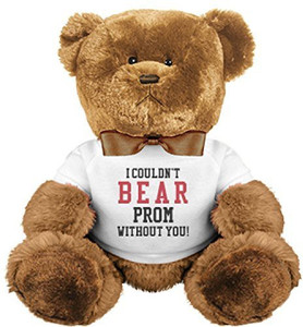 Prom teddy 2025 bear