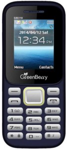 GreenBerry GB 310(Blue)