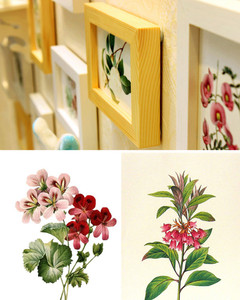 Wollwoll Wood Photo Frame Best Price In India Wollwoll Wood Photo Frame Compare Price List From Wollwoll Wall Photo Frames 18386977 Buyhatke