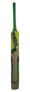 puma evo speed 2 chromium kashmir willow cricket  bat(1.000-1.100 kg)
