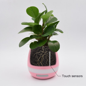 Plant bluetooth speaker top
