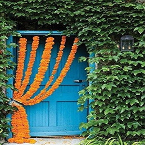 Satyam Kraft Re Usable Artificial Marigold Fluffy Flowers Garlands Genda Phool Toran For For Diwali Decoration Home Decor Diwali Collection Wedding Decoration Pack Of 12 Orange Diwali Decoration Items For Home Diwali