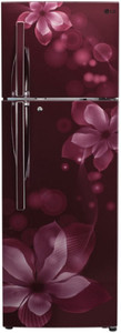 LG 260 L Frost Free Double Door 3 Star Refrigerator
