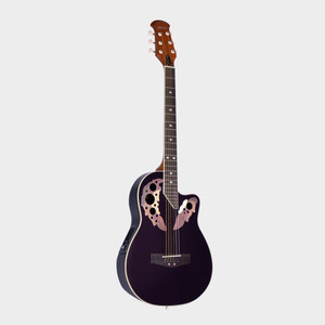 Hertz bass guitar price cheap
