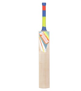 puma evo speed 2500 kashmir willow cricket  bat(250)