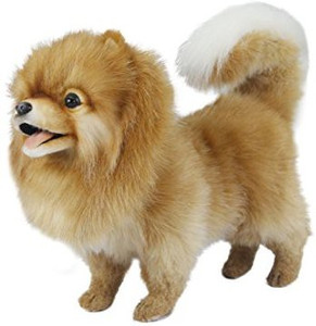 Pomeranian hotsell stuffed toy