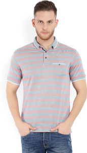 Peter England Striped Men s Polo Neck 