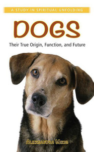 Dog for deals sale in flipkart