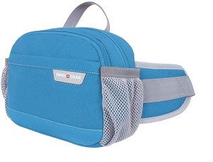 Swiss gear fanny 2025 pack