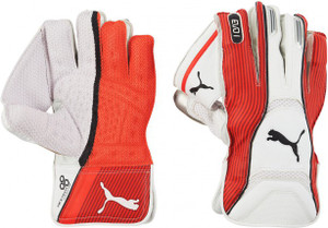 Puma evo 2 wicket keeping gloves outlet