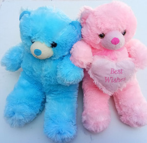 Pink and shop blue teddy bears