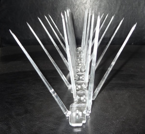 Indolite Bird Spike