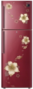 Samsung 253 L Frost Free Double Door 2 Star (2019) Refrigerator(Star Flower Red, RT28N3342R2-HL/RT28N3342R2-NL)