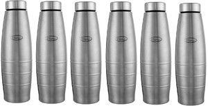 Champ stainless steel water bottle online