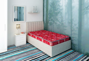 bellz single foam mattress 4 inch Single High Density (HD) Foam Mattress