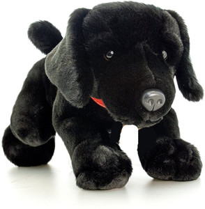 Black teddy dog outlet
