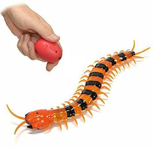 Animal planet remote control hot sale centipede